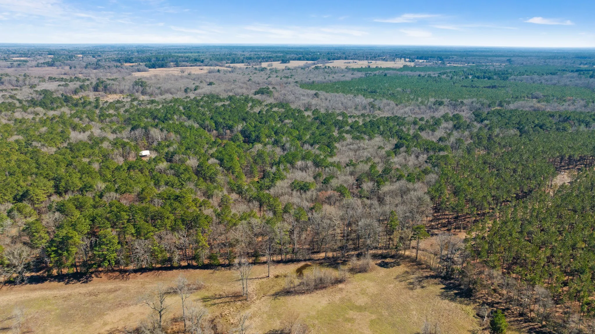 TBD County Road 2237, Bagwell, TX 75412