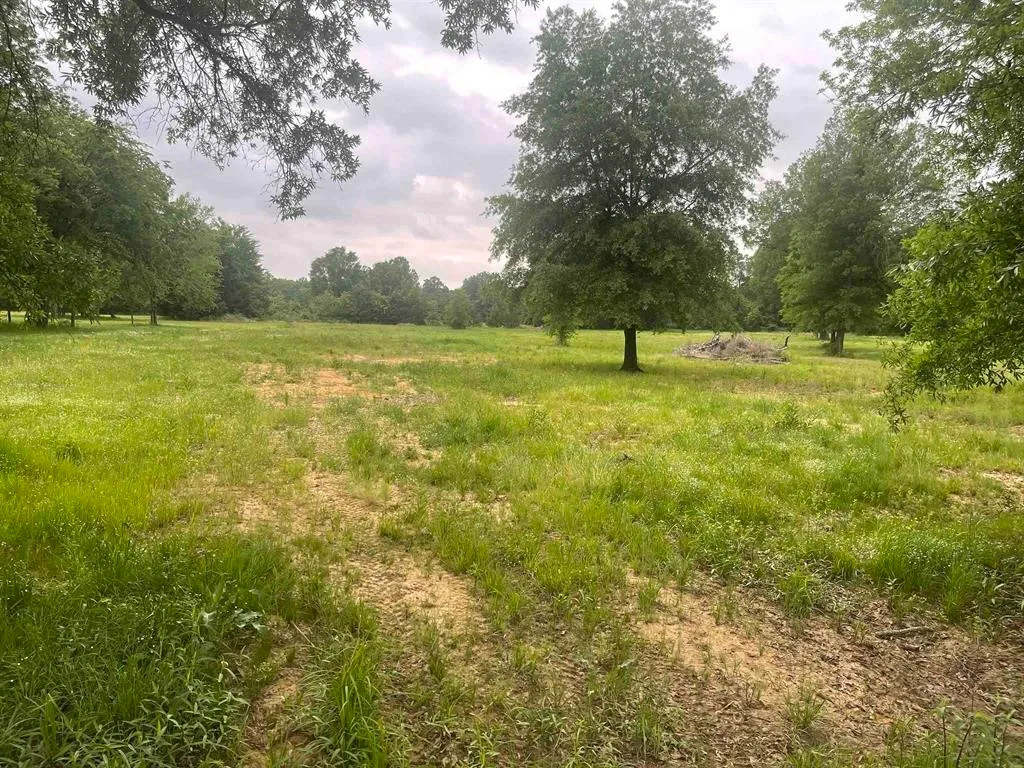 1089 COUNTY ROAD 45800, Blossom, TX 75416
