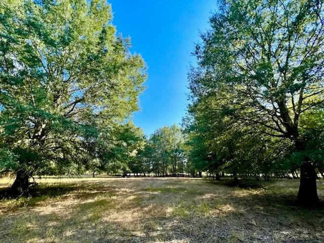 Lot 10 PR 44005, Blossom, TX 75416